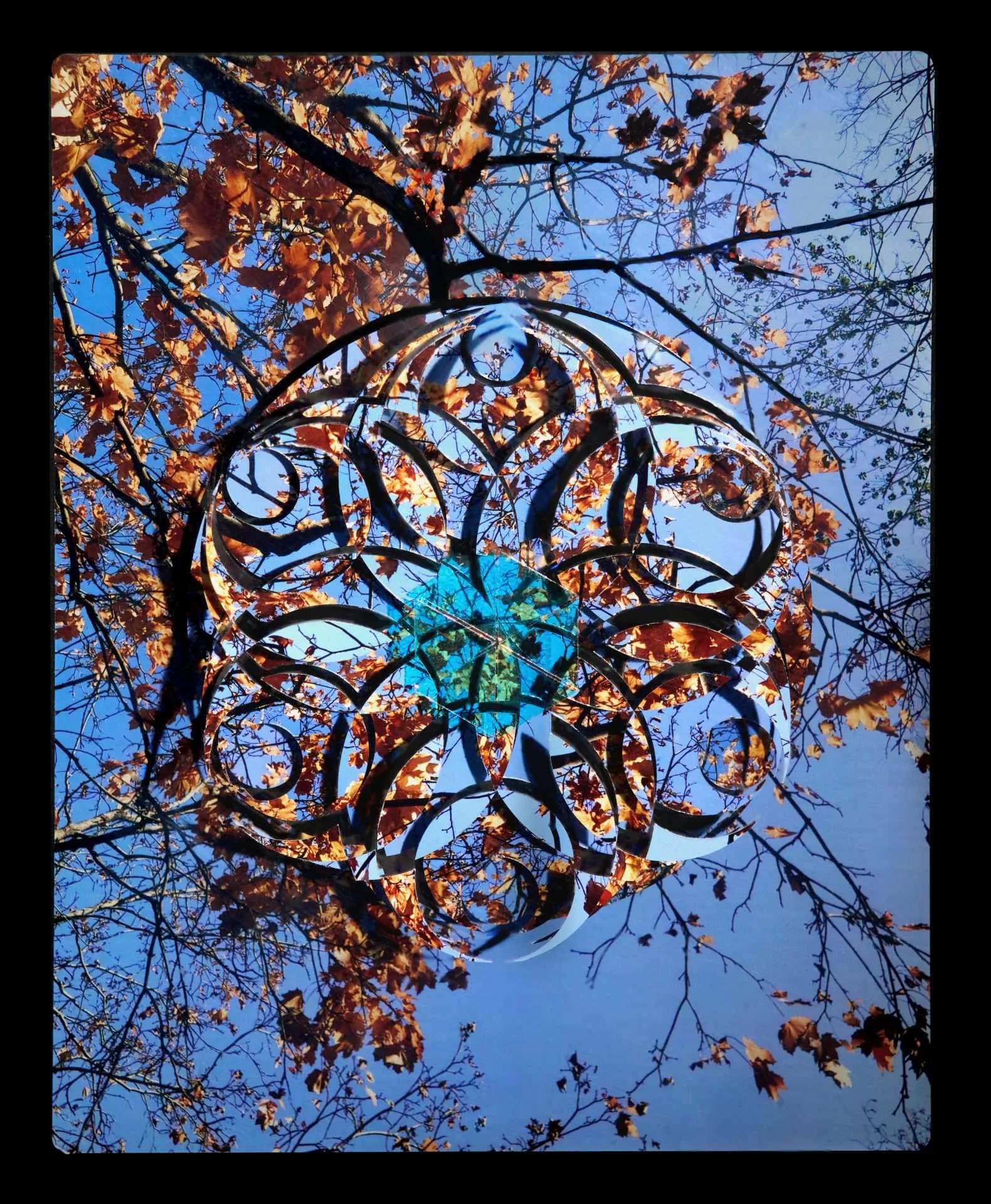 Hero artwork by Alicia Escamilla