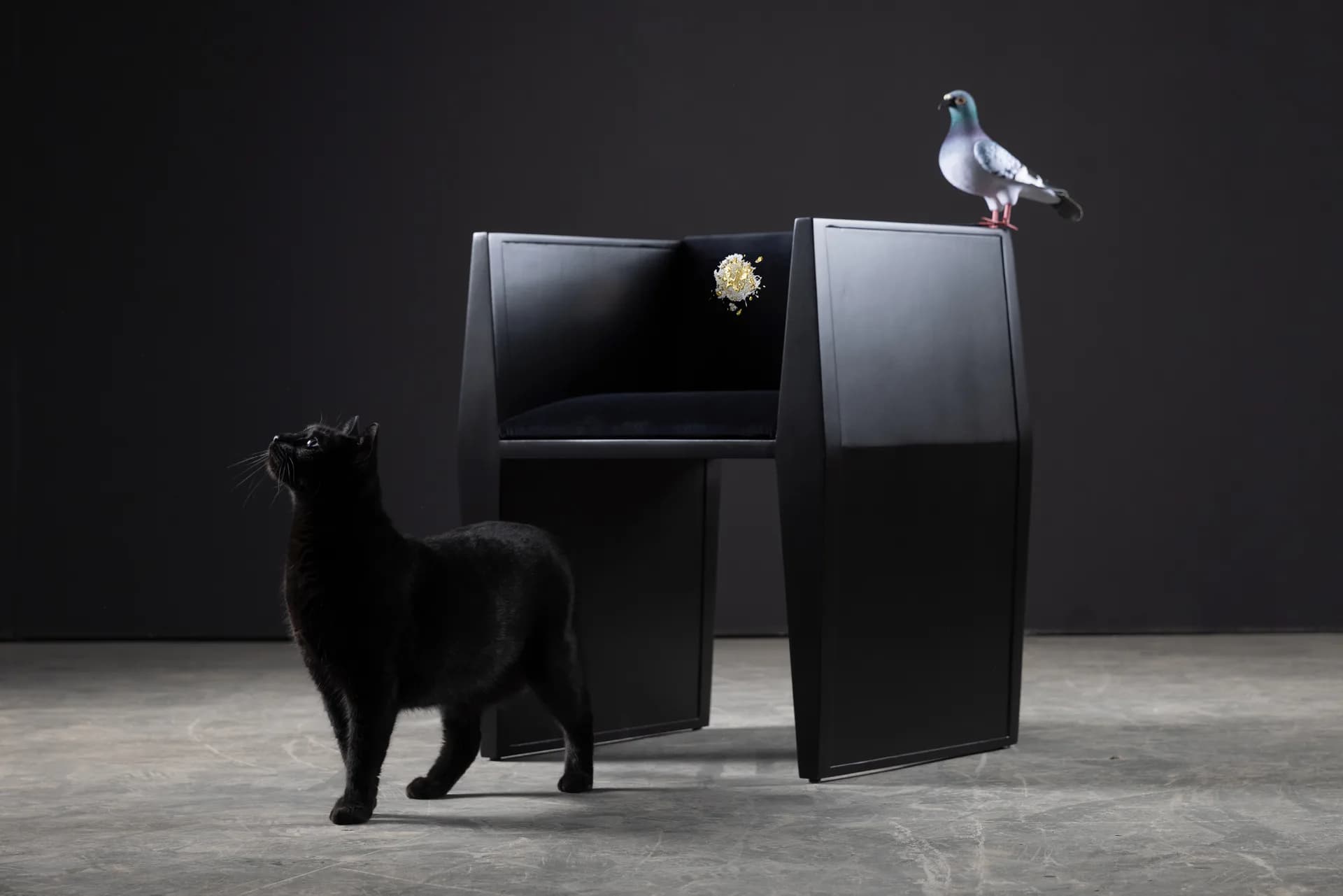 SENTIENT Pigeon Poetics Sapience Chair Art Collab