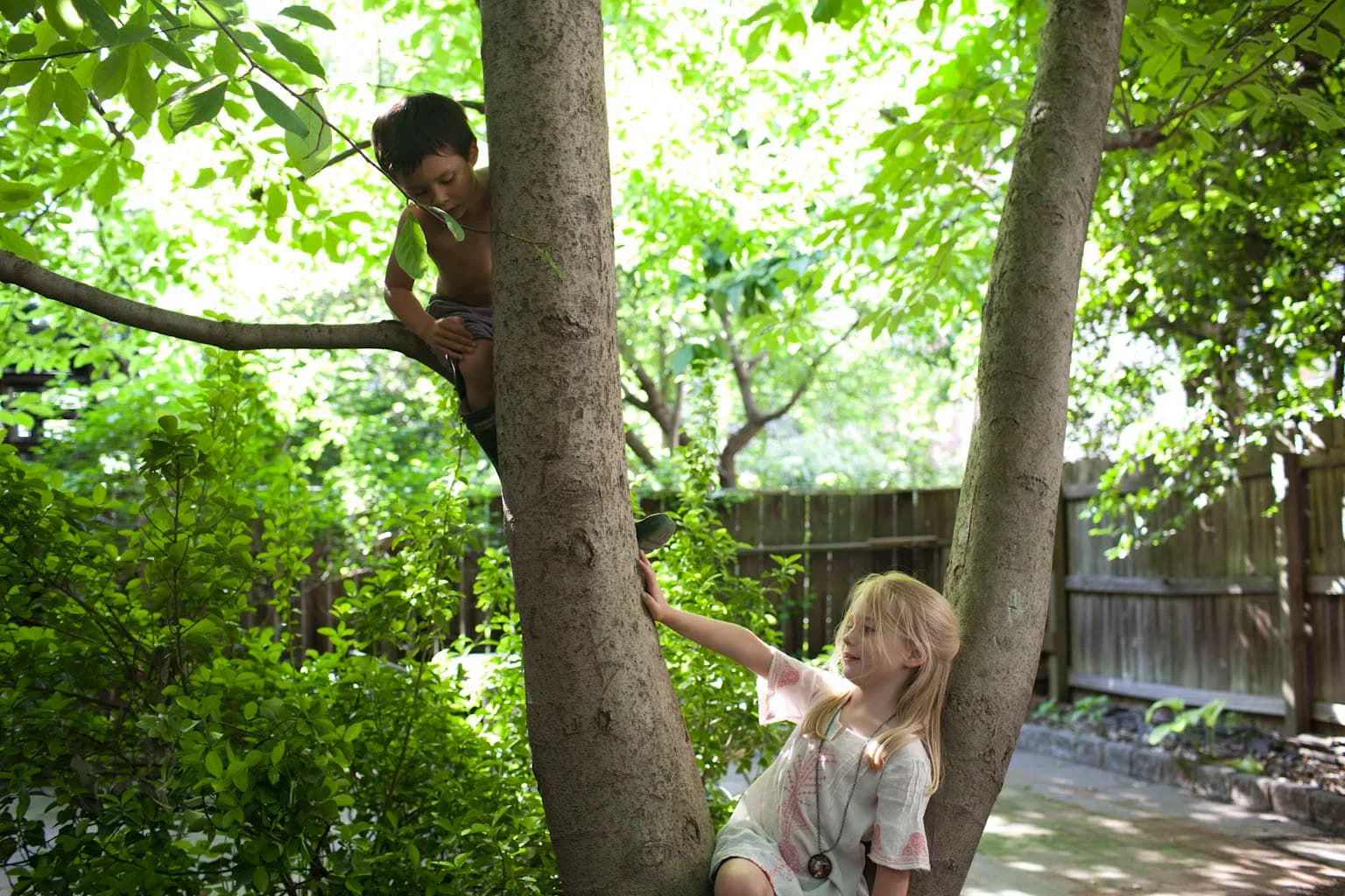 Two children playing in a tree in a lush green backyard
