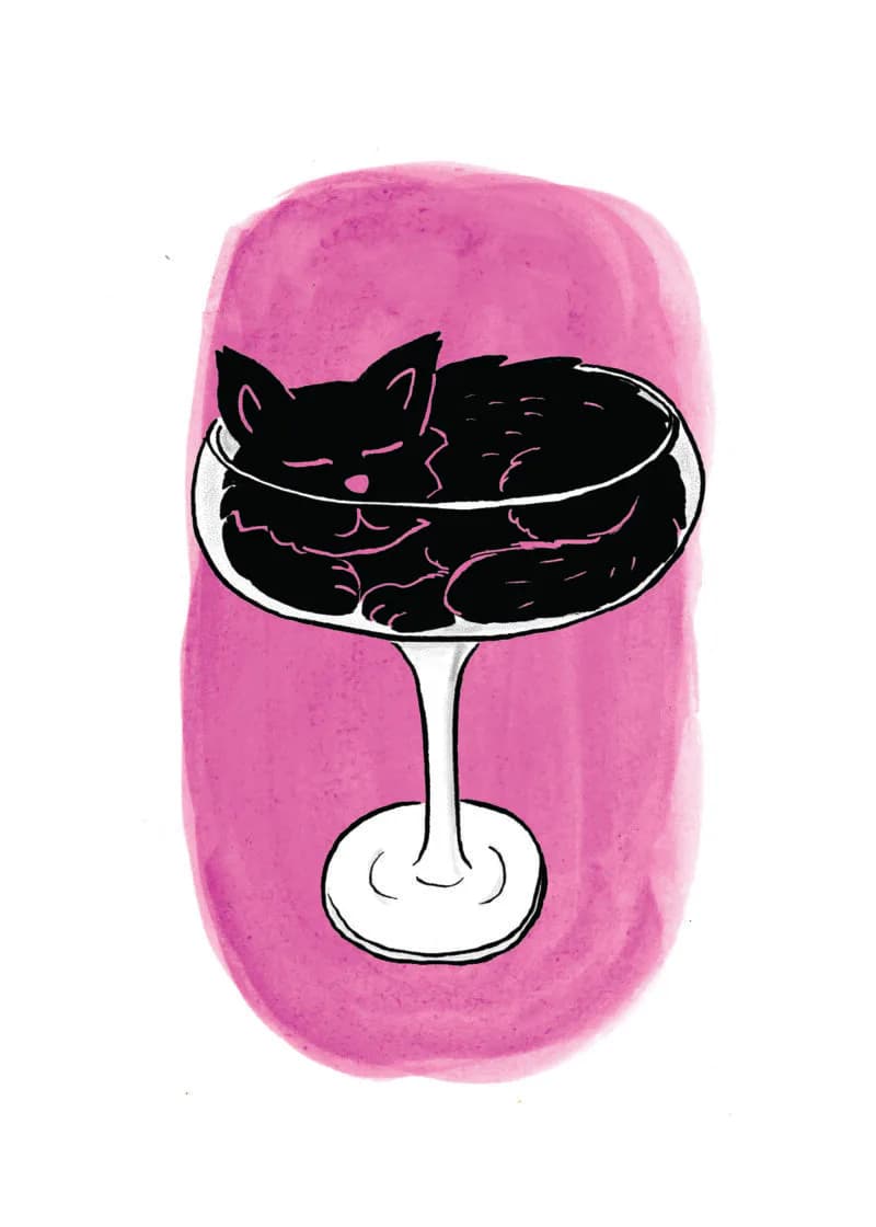 Black cat curled up sleeping inside a coupe cocktail glass against a pink watercolor background