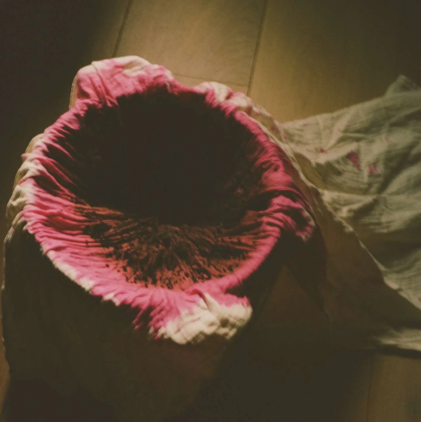 Artwork 01 by Bowerbird