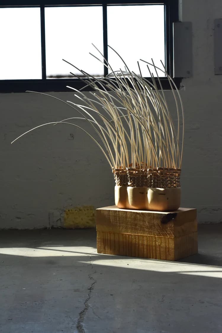 Single woven basket sculpture with radiating reed elements on wooden block, backlit by window