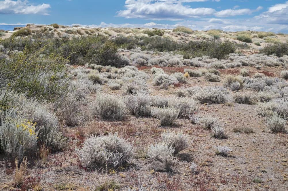 Artwork 01 by David Kutz