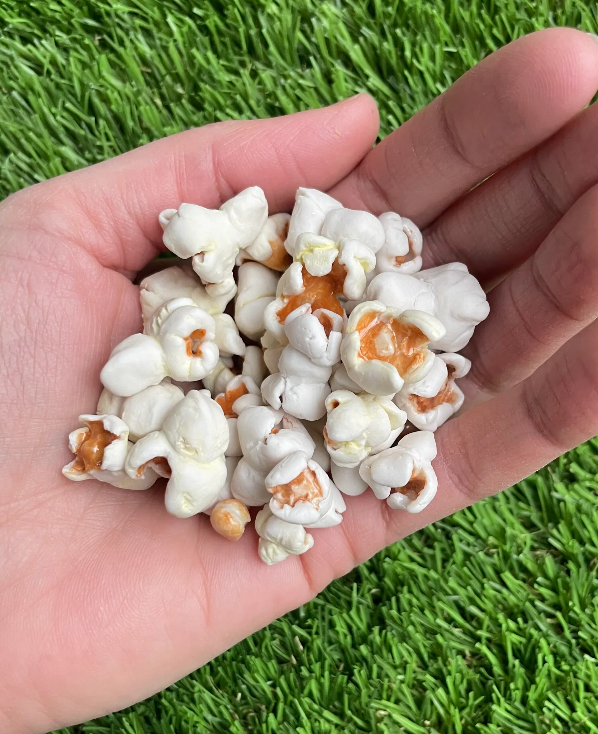 Hero artwork by Dena Soukieh