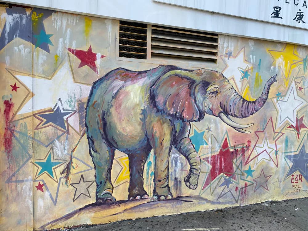 Colorful mural by E & R depicting a purple and blue elephant surrounded by red, yellow, and white stars on a weathered wall in Elmhurst.
