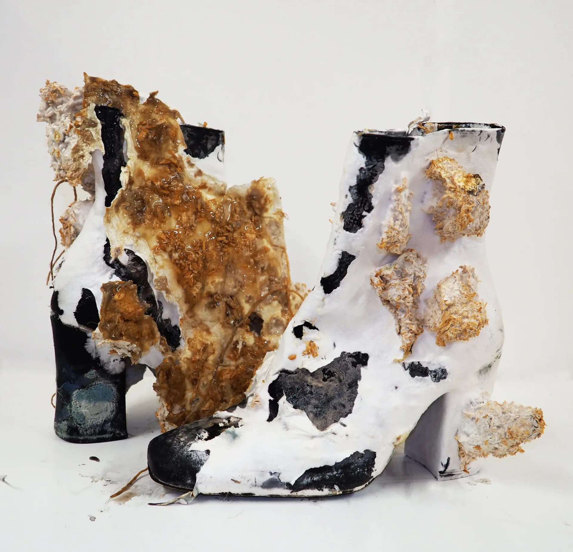 Mycelium-colonized high-heel boots decomposing on white background