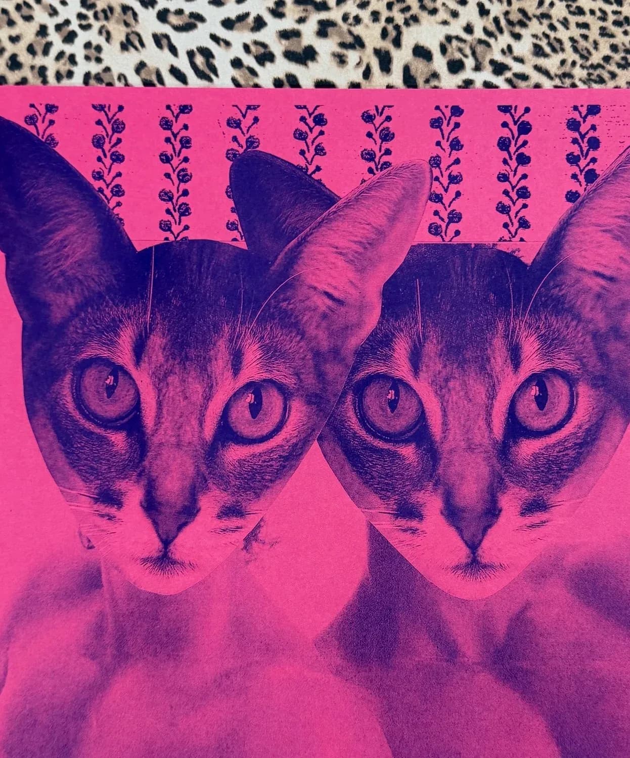 Risograph print of mirrored cat faces in hot pink and purple with floral wallpaper pattern on leopard print background