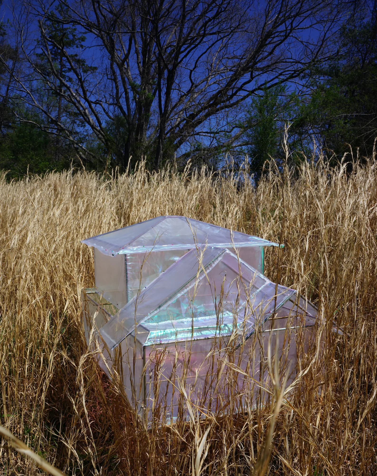 Transparent geometric installation with iridescent surfaces in a dried field at dusk, bare tree silhouetted against blue sky.