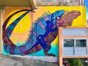 Large colorful mural of an iguana on a building exterior