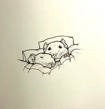 Ink sketch of two small rodents or hamsters huddled together on bedding, rendered in simple linear style.