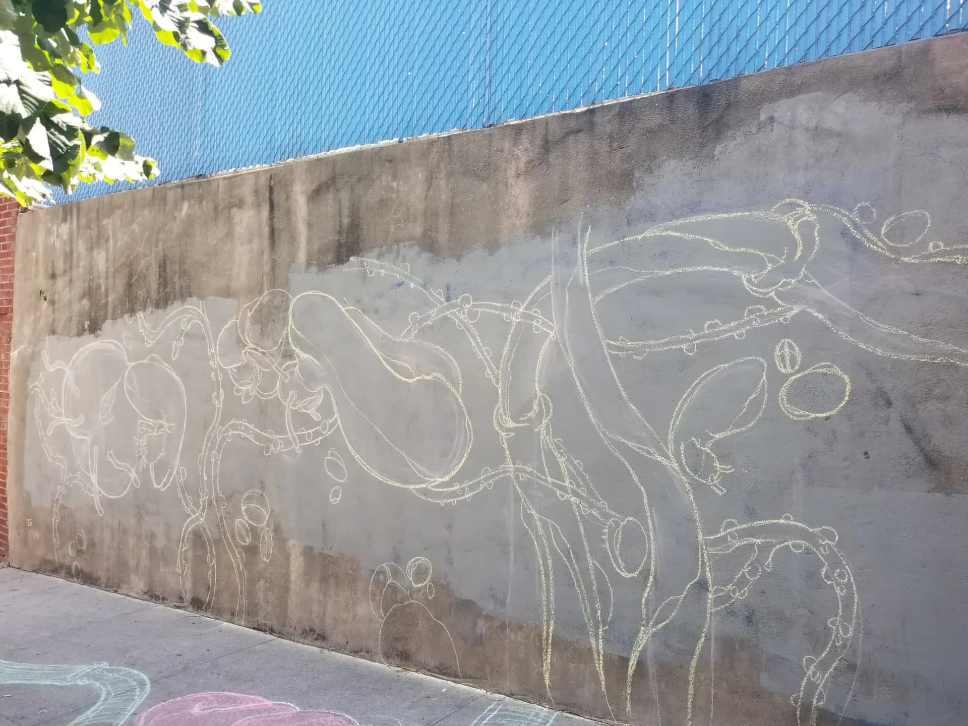 Photograph of concrete wall with chalk line drawing in white, depicting abstract organic forms.