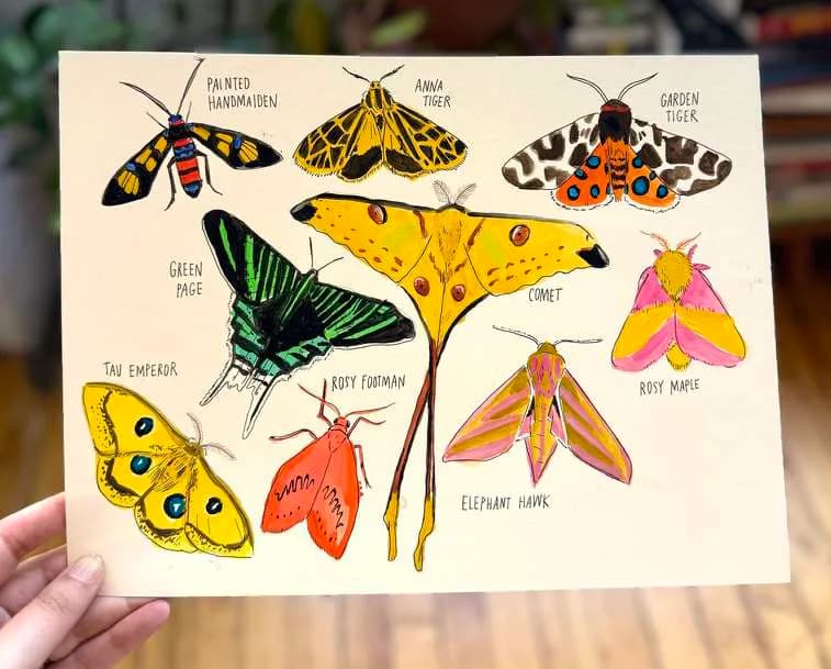 Hero artwork by Julia Rothman