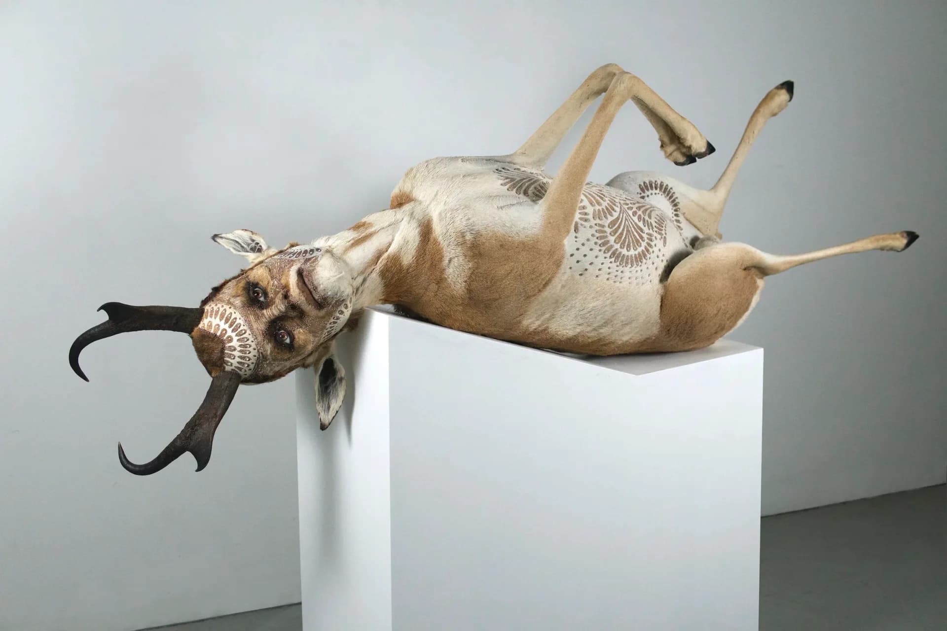 Three full-body oryx taxidermy sculptures with human faces on white pedestals in gallery