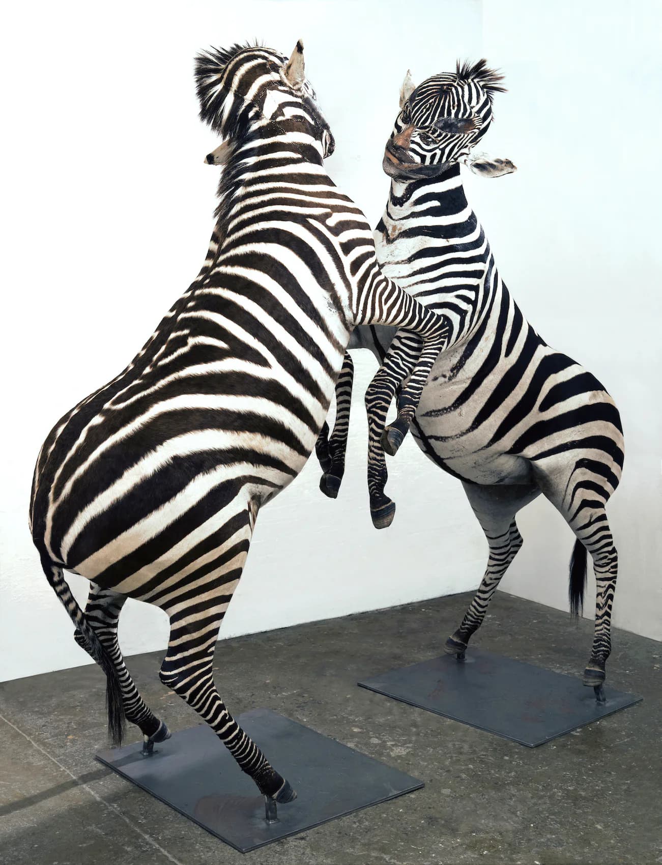 Artwork 02 by Kate Clark