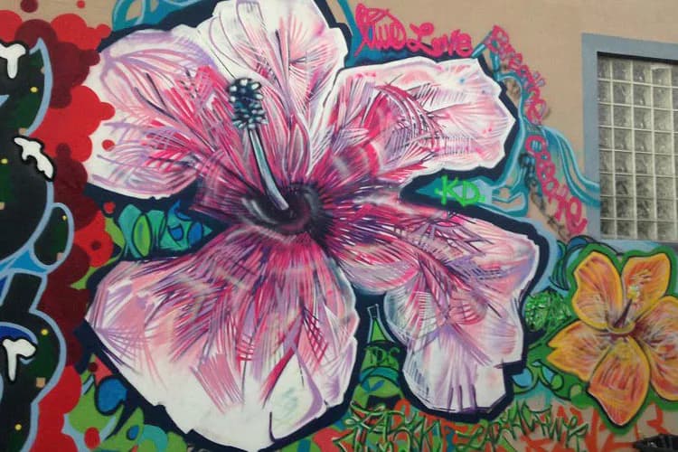 Large-scale mural featuring a pink and white flower with detailed veining and dark center, surrounded by colorful abstract elements including a yellow flower and red background with green organic shapes.