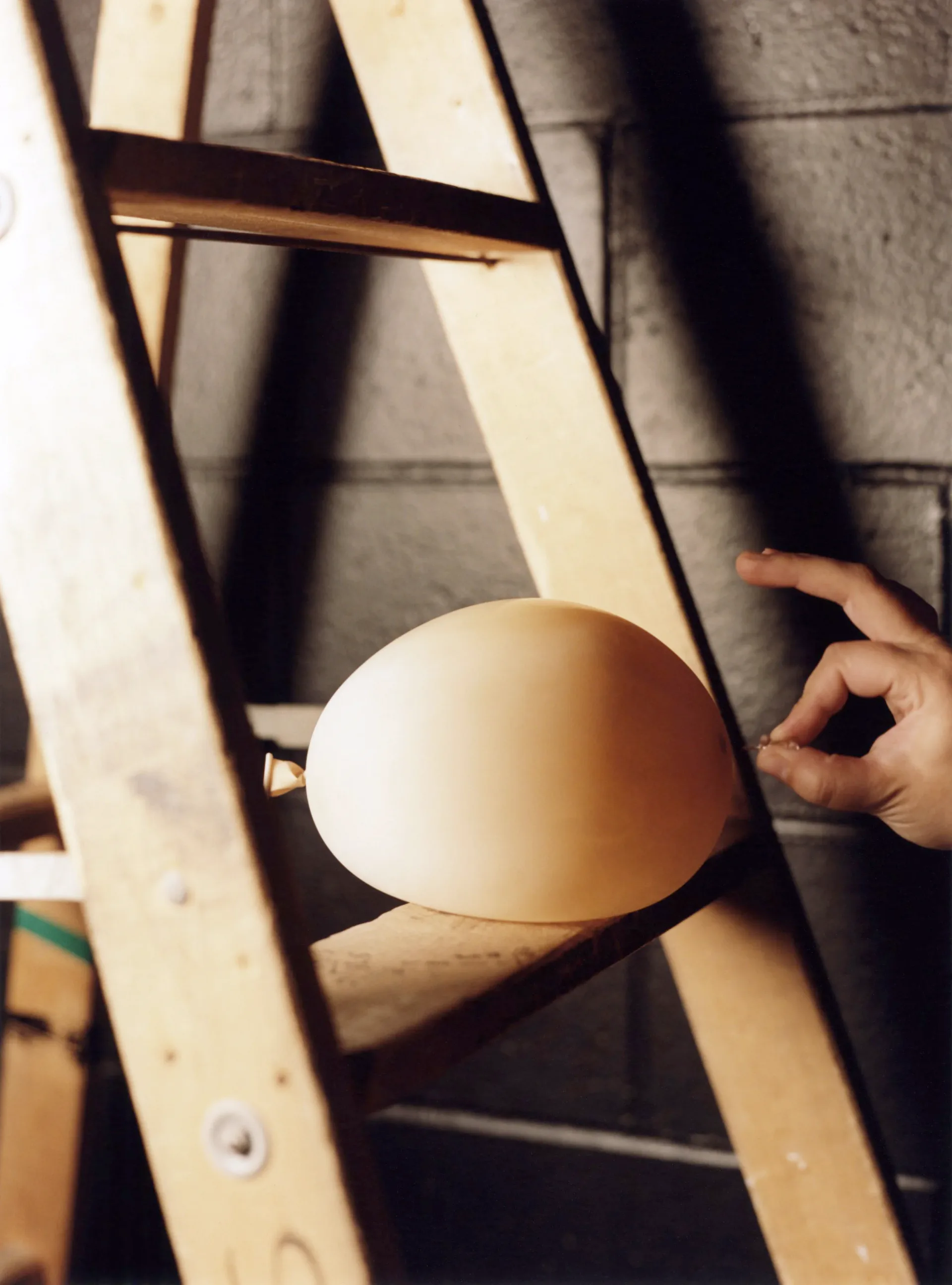Color photograph of a large egg balanced on a wooden ladder rung with a hand reaching nearby