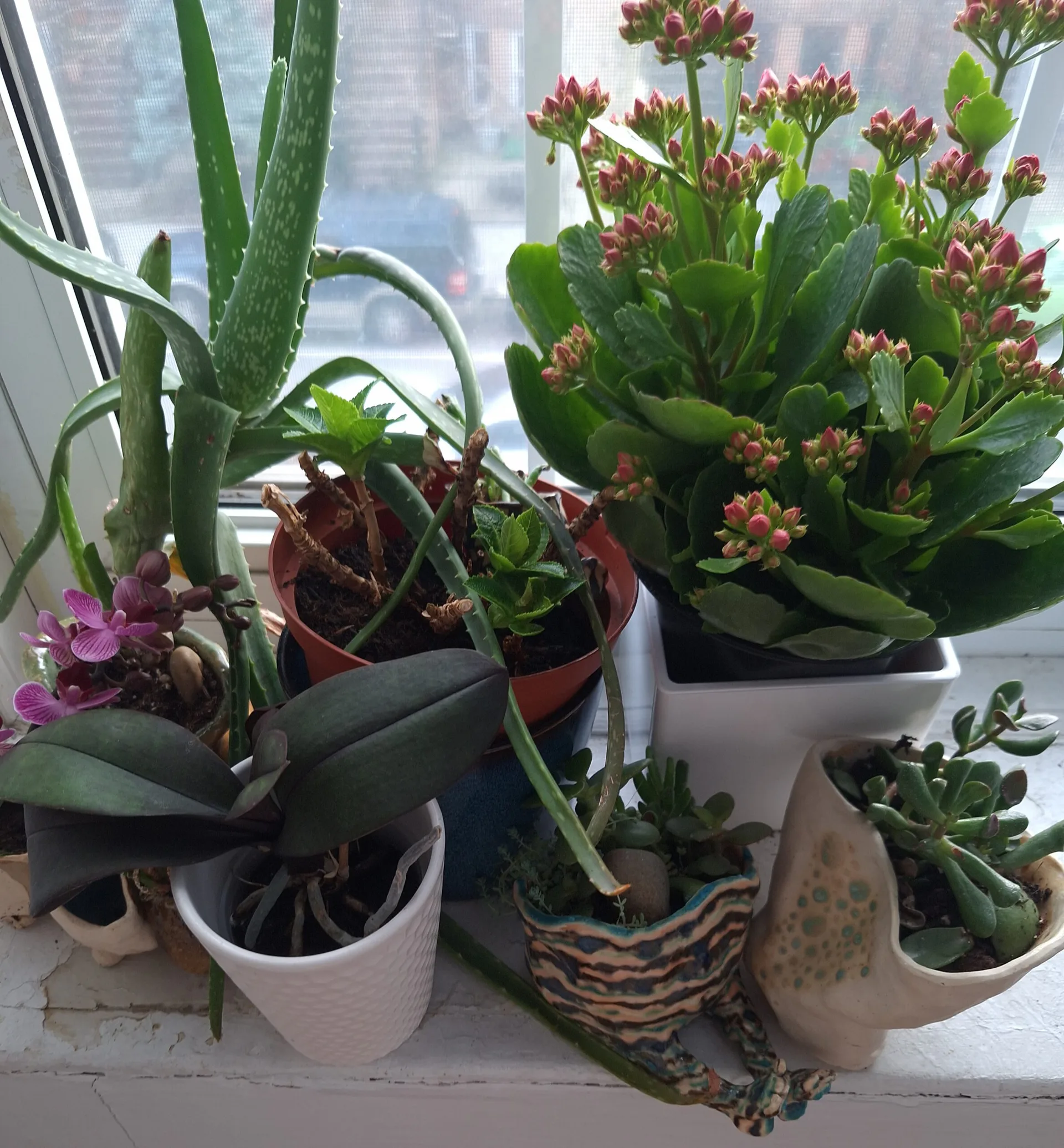 Hero artwork by Lee Holodney