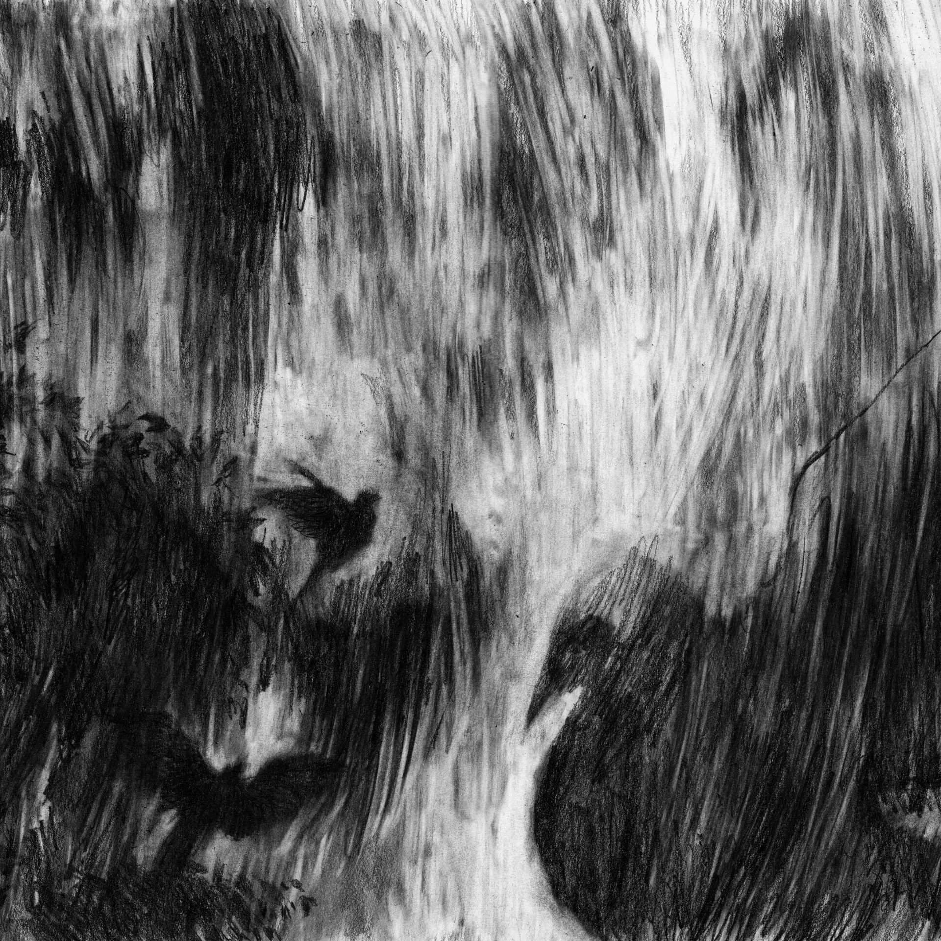 Hero artwork by les éditions MMYOPE