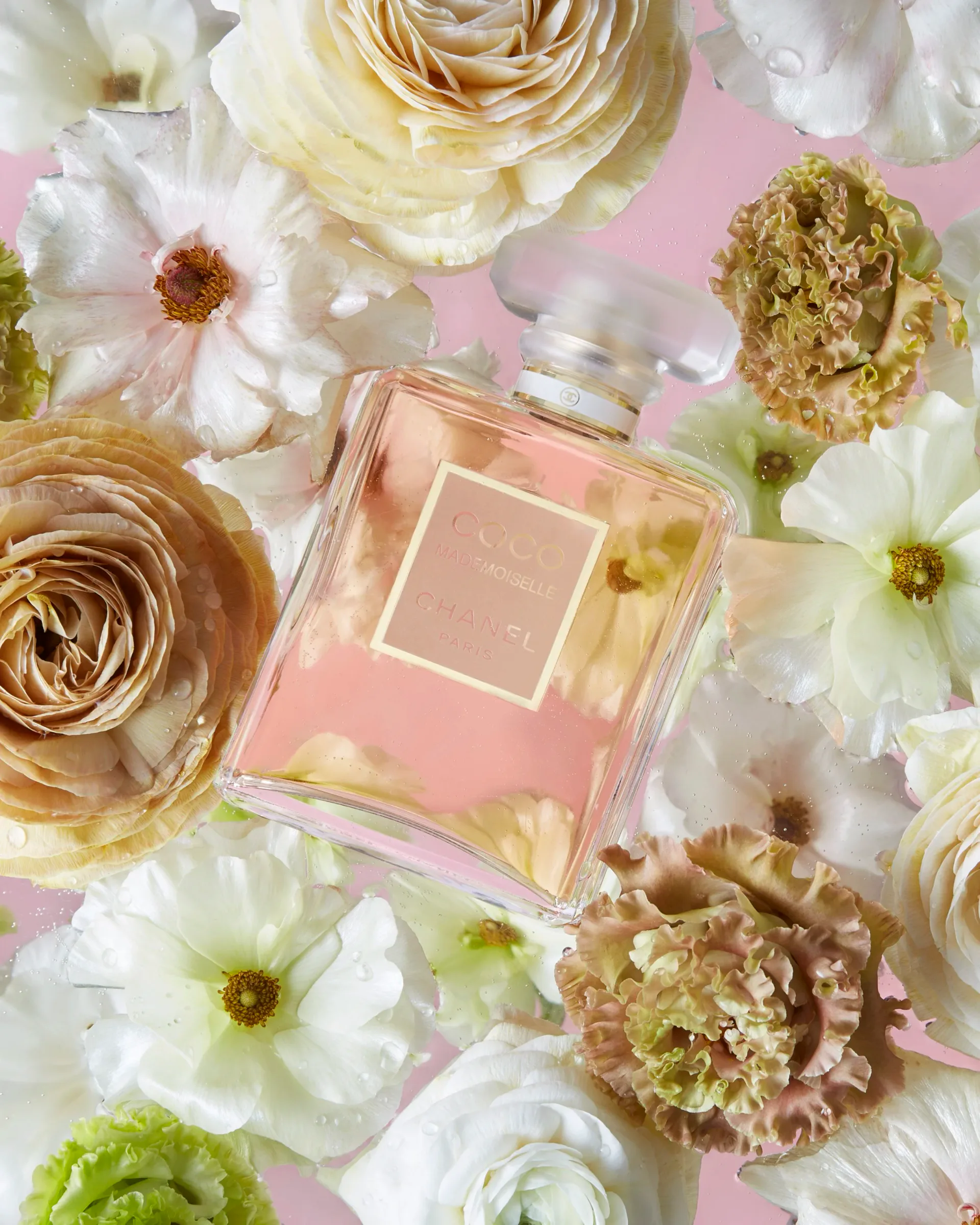 Flat-lay product photography featuring a clear glass perfume bottle surrounded by cream and white roses and dahlias on pink background.