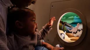 Animated illustration of a girl with glasses reading at a library desk