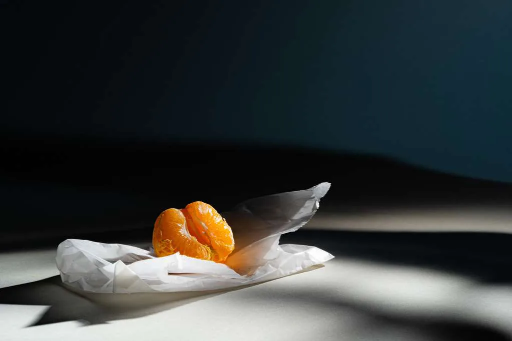 Artwork 01 by Lisa Schatz