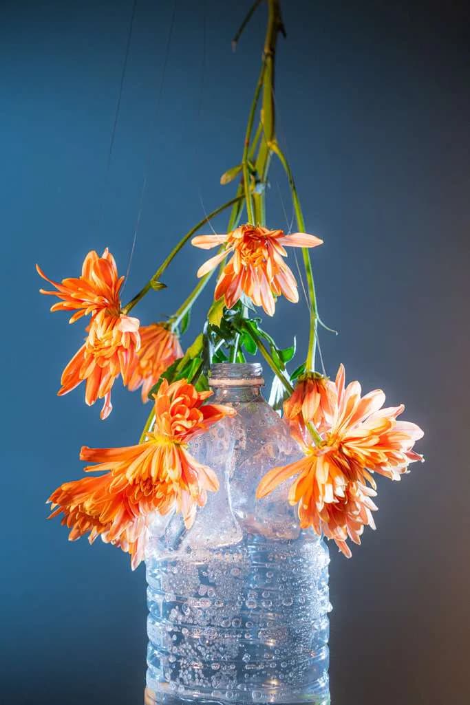 Artwork 03 by Lisa Schatz