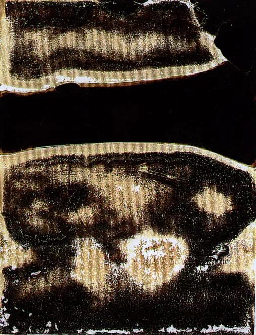 Five ghostly human silhouettes in purple tones seen through a translucent screen