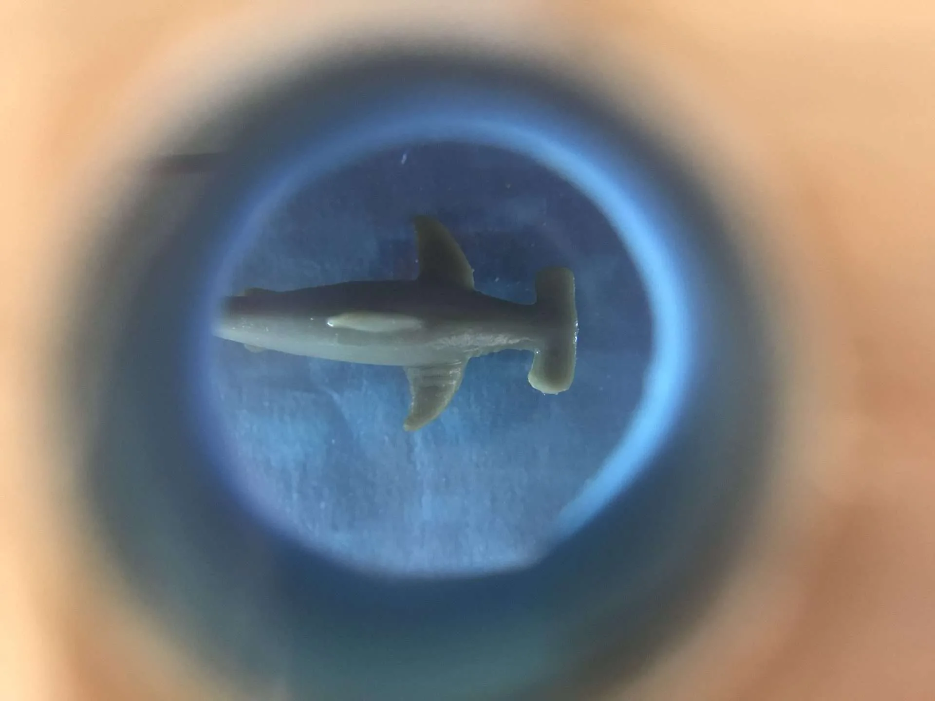 Hero artwork by Mel Brock