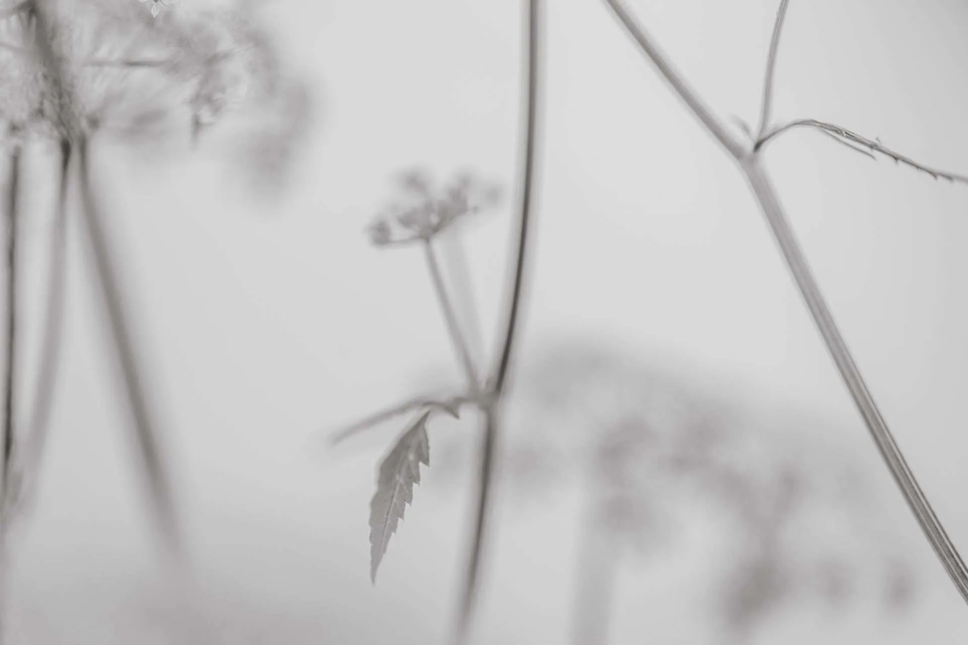 Artwork 01 by MG Vander Elst