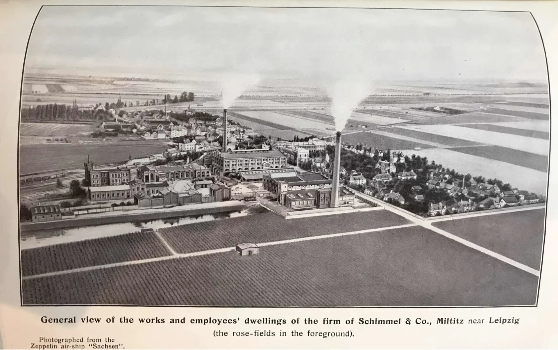 Aerial view of Schimmel and Co. works and rose fields photographed from Zeppelin airship Sachsen