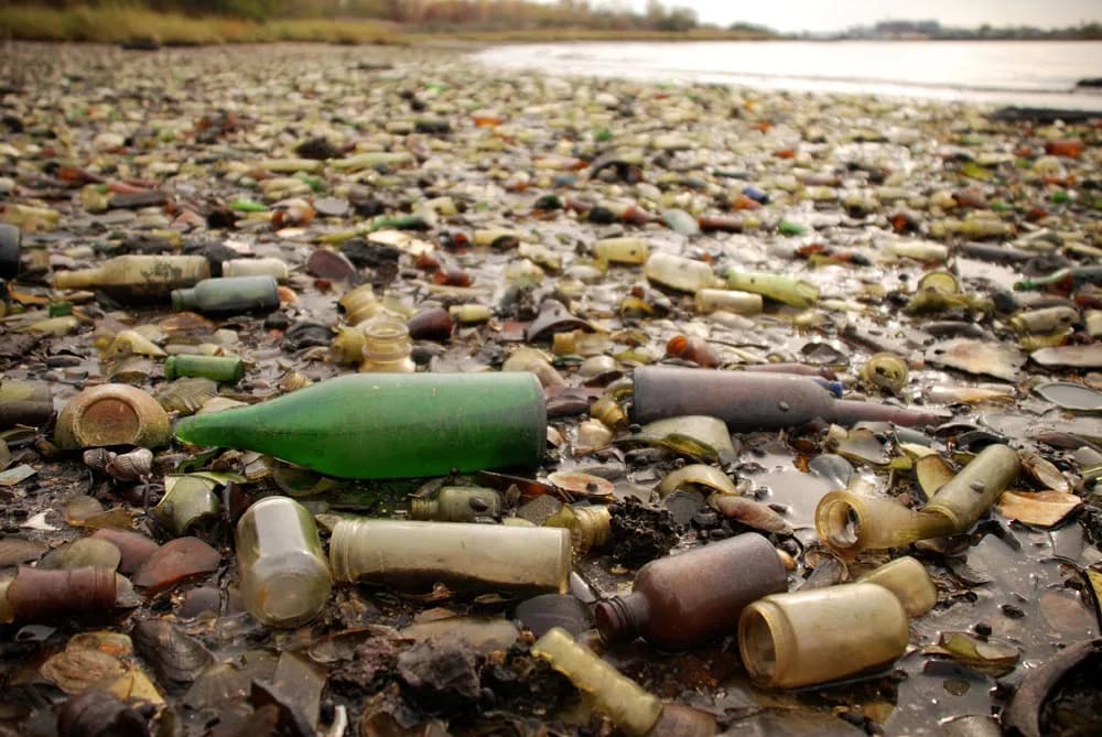 Thousands of old glass bottles covering a shoreline at low tide