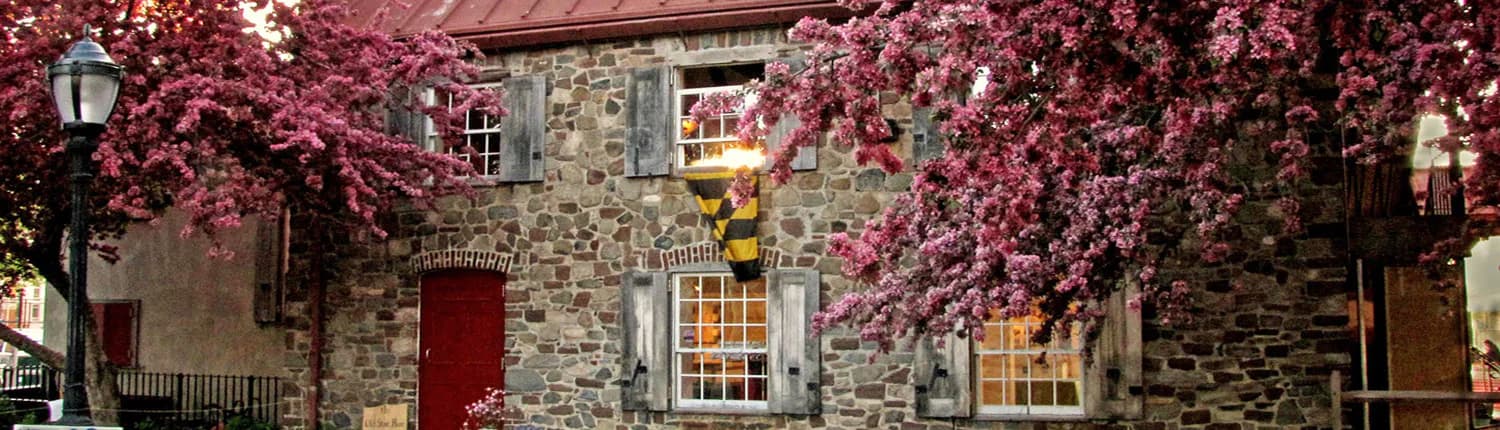 Stone building exterior with shuttered windows framed by blossoming pink flowering trees, likely Old Stone House & Washington Park.