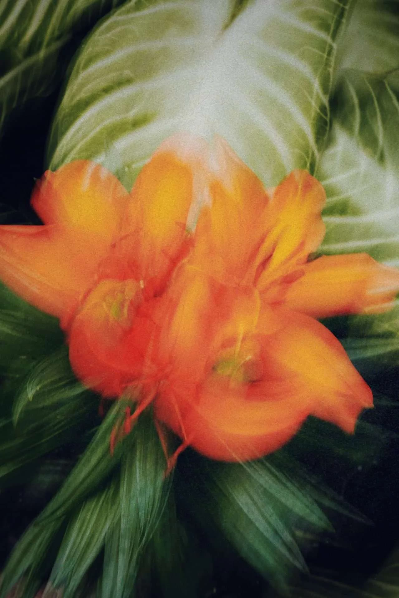 Artwork 01 by Patrizia Messineo