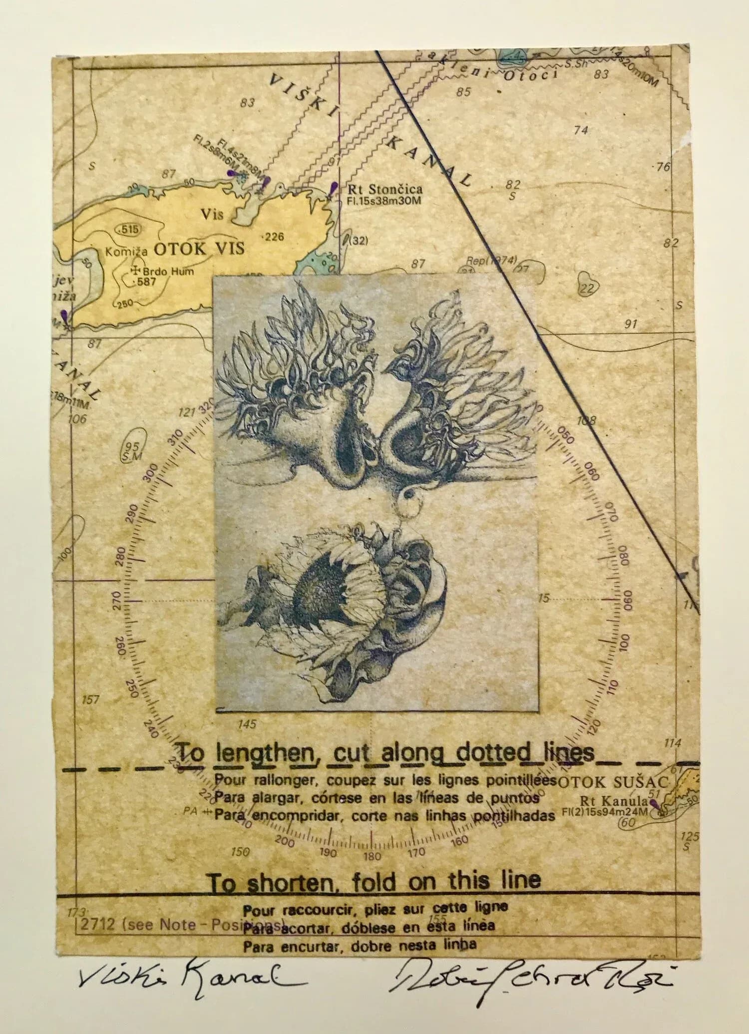 Etching of sea anemones layered over nautical chart of Viski Kanal, Croatia