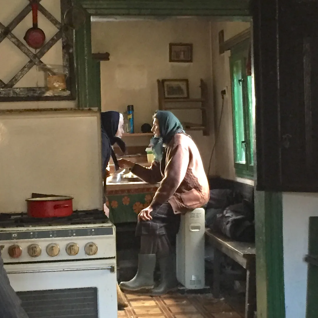 Artwork 01 by Silvia Marinache