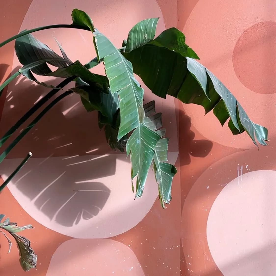 Artwork 03 by Studio Barro