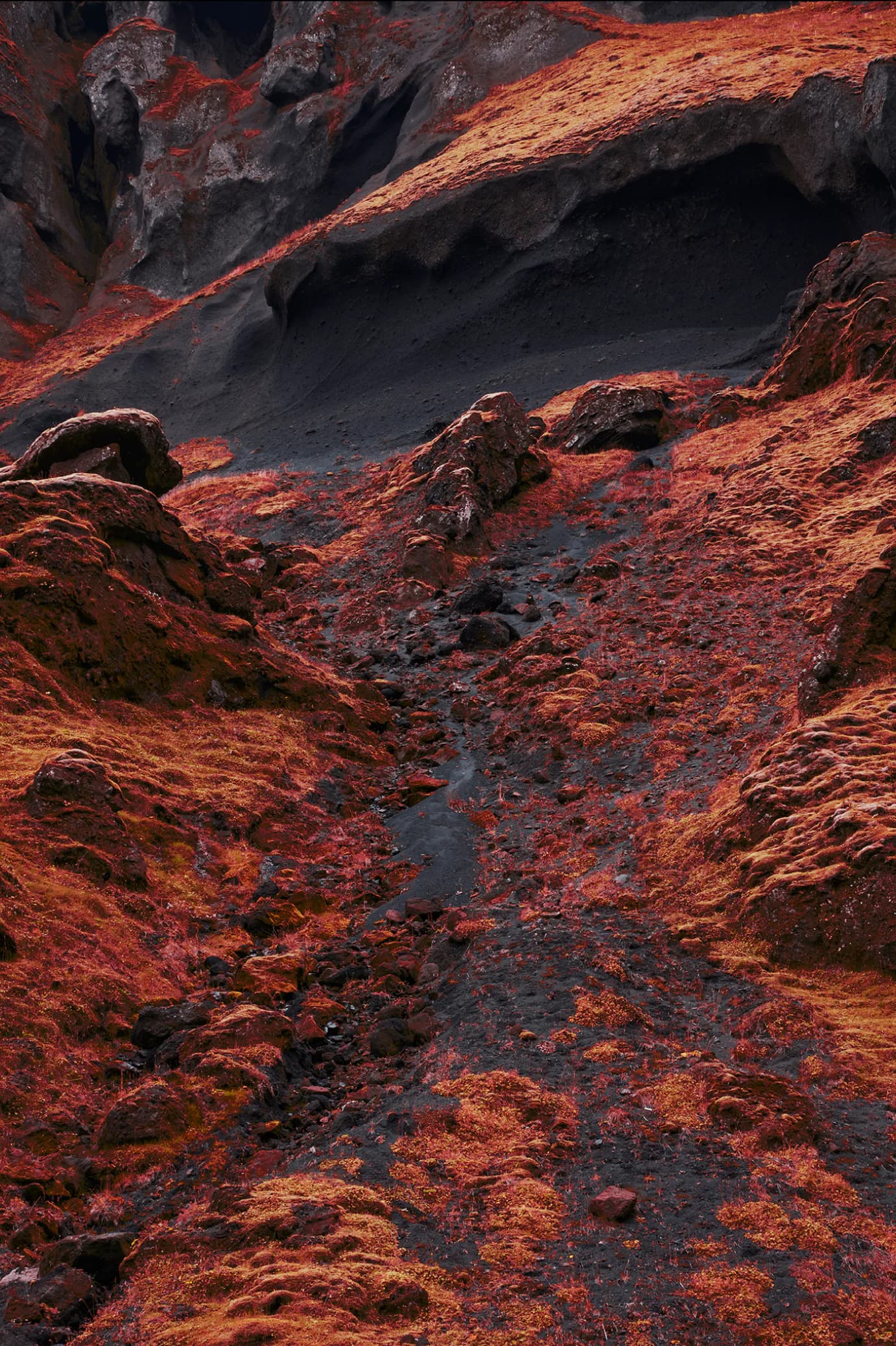 Infrared-toned volcanic canyon with red moss and dark basalt rock formations
