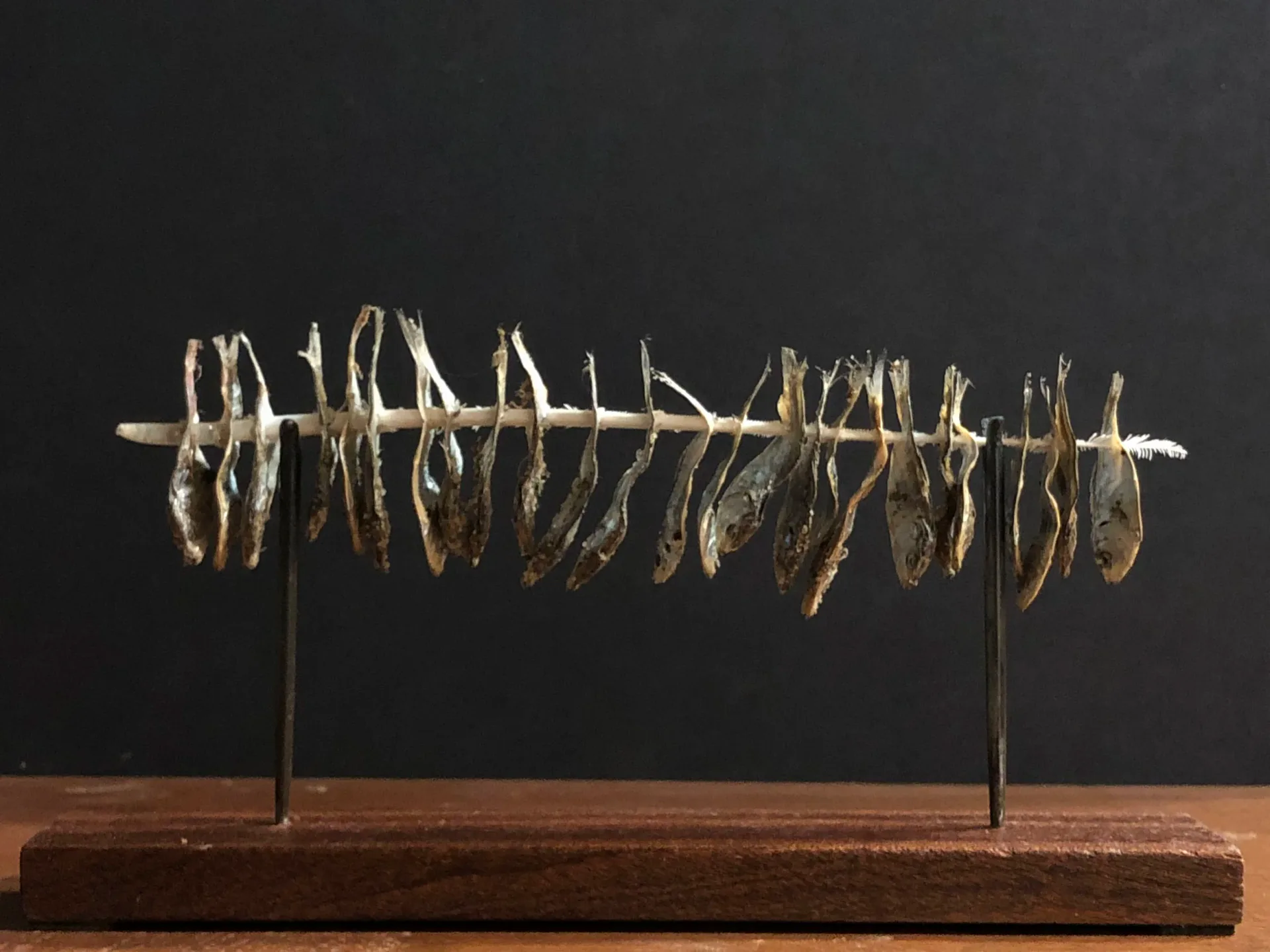 Sculpture of dried fish arranged on a spine-like armature mounted on a wooden base