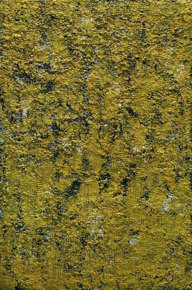 Richly textured abstract painting in golden yellow with dark undertones and grid-like surface pattern