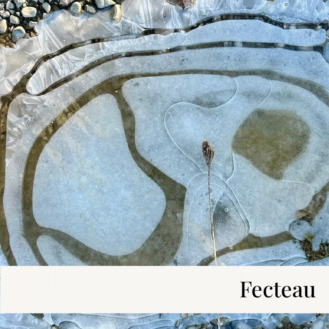 Artwork 01 by Trollcave Studios