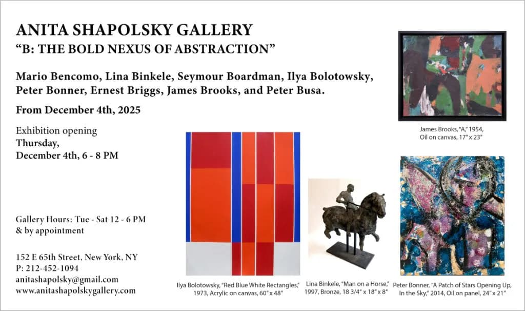 Exhibition flyer for 'The Bold New Abstraction' at Anita Shapolsky Gallery with artist names and opening December 4th.