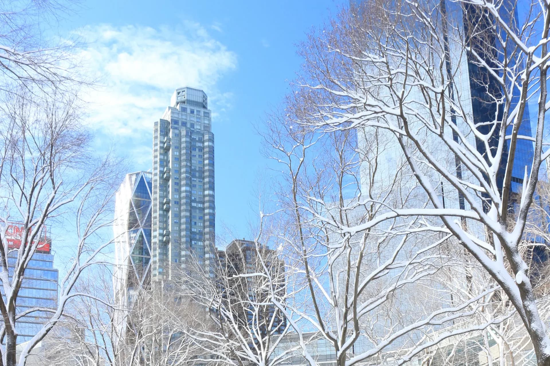 Urban street view of tall buildings and bare winter trees against blue sky in Manhattan.