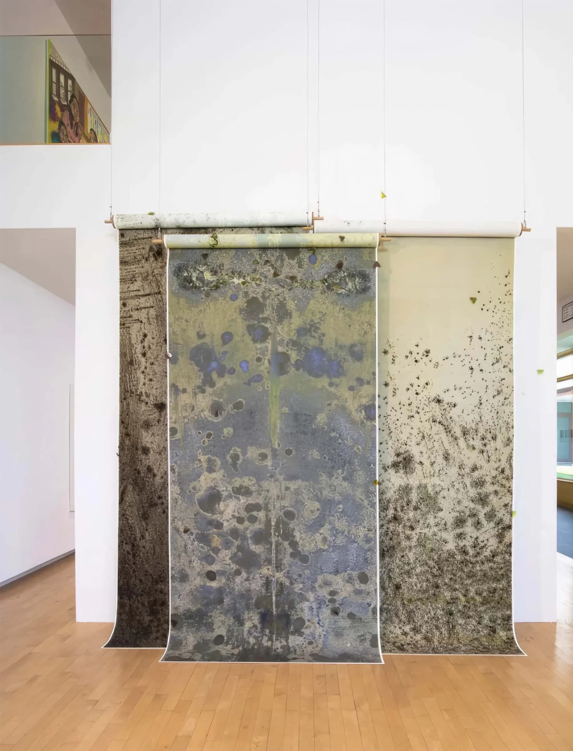 Gallery wall displaying three large textile or paper works with organic mottled patterns in grays, blues, and yellows hung on a white wall.