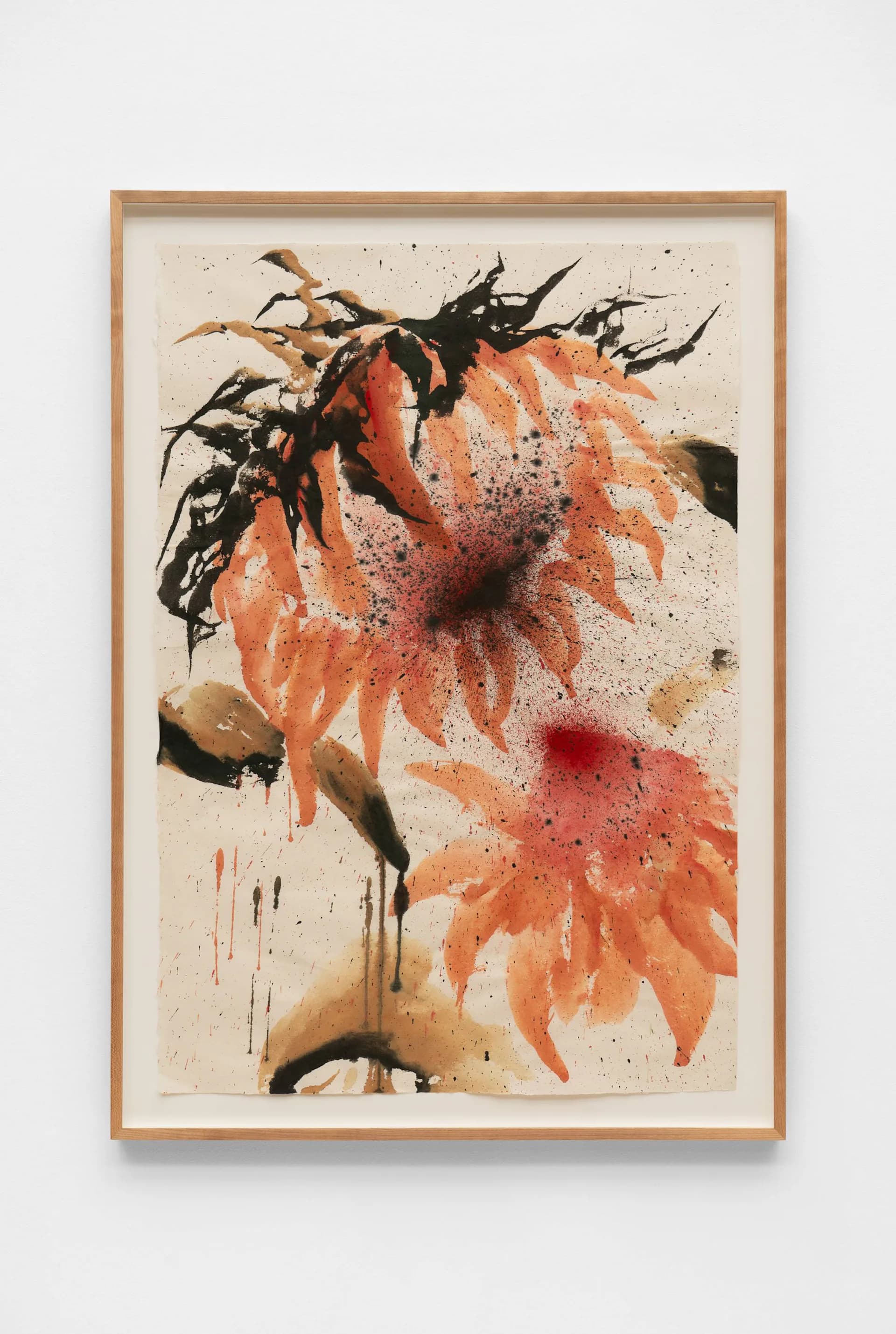 Watercolor and ink painting of drooping coral-red sunflowers with black stems and leaves on cream paper in wooden frame.