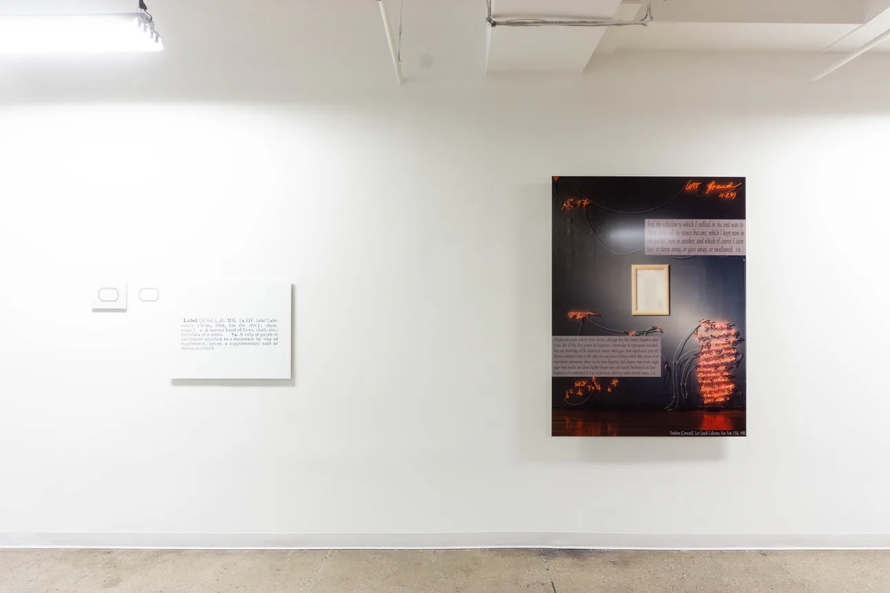 Gallery wall at Castelli Gallery with photograph artwork depicting red neon lights and interior space, small text panel to left.