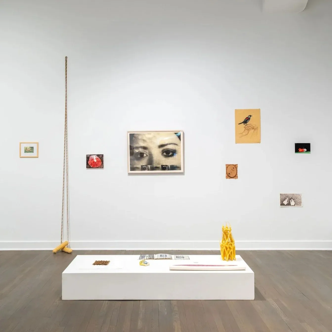 CUE Art Foundation gallery wall displaying a curated collection of varied artworks—drawings, photographs, and objects—arranged at different heights, with a white pedestal displaying additional pieces.
