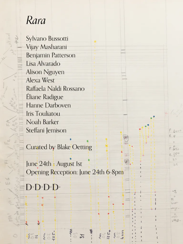 Exhibition announcement for 'Rara' curated by Blake Oetting at D. D. D. D., listing 13 artists' names, opening reception June 24th 6-8pm, runs through August 1st, with colorful plotted data visualization overlay.