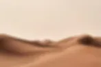 Soft-focus photograph of sand dunes in warm beige and brown tones, evoking a desert landscape, shown at Deborah Bell Photographs