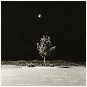Black and white nighttime photograph of solitary illuminated tree in empty parking lot beneath crescent moon.