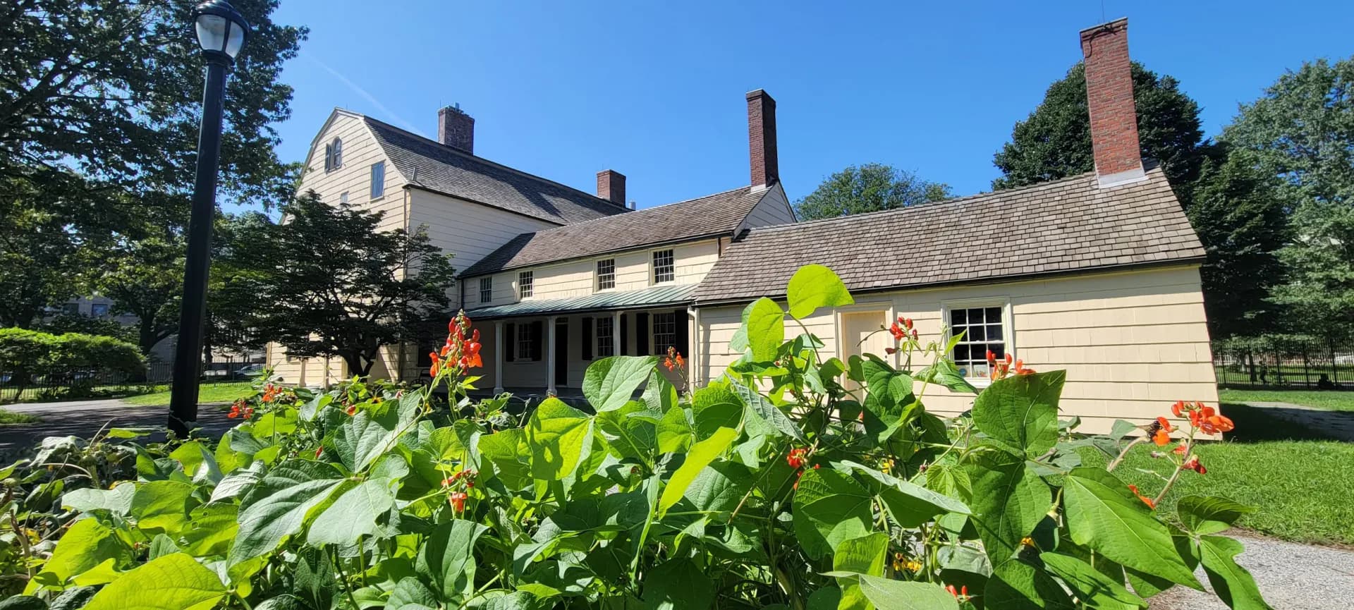Exterior of historic colonial house with cream siding and multiple chimneys, foreground showing green garden plants and flowers.